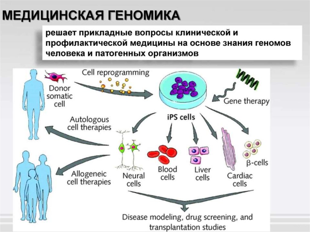 Геномика. Геномика в медицине. Медицинская геномика цели. Геномика для обычного человека. Геномика доклад.