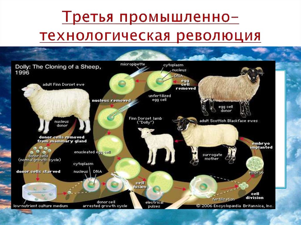 Технологическая революция. Третья промышленно-технологическая революция. Третья промышленно-технологическая революция 1970. Промышленно технологическая революция это. Третья Промышленная технологическая революция презентация.