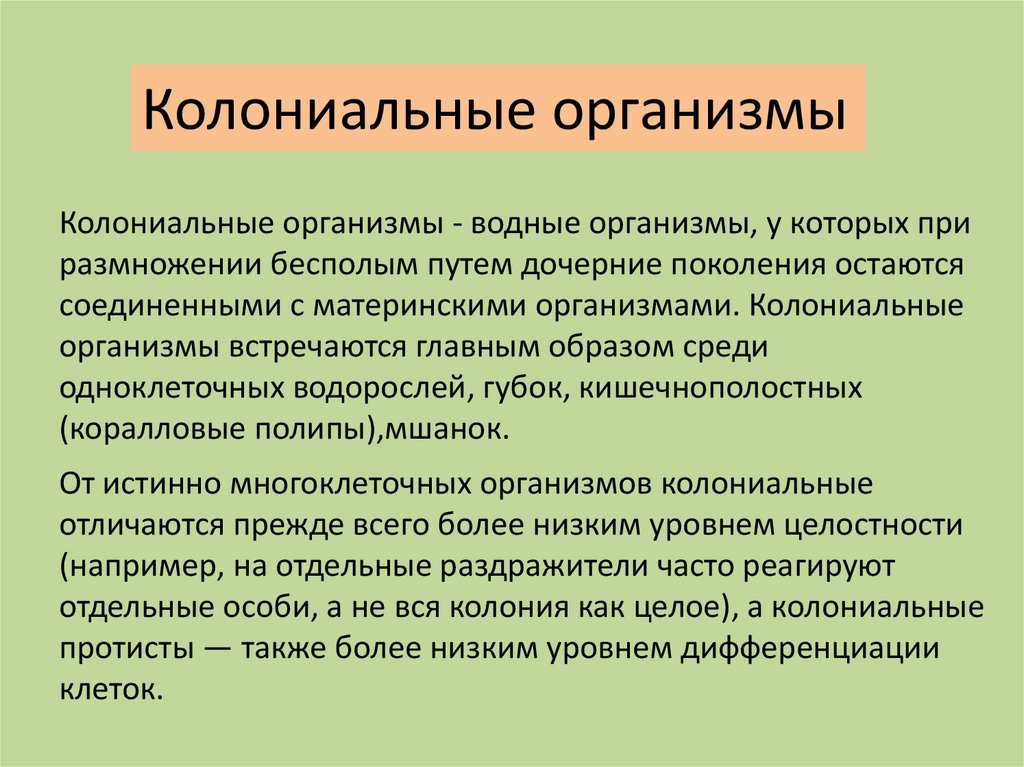 Организм единое целое многообразие организмов 10 класс презентация