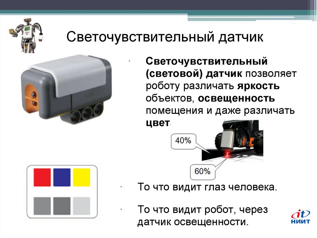 Цифровое изображение состоит из