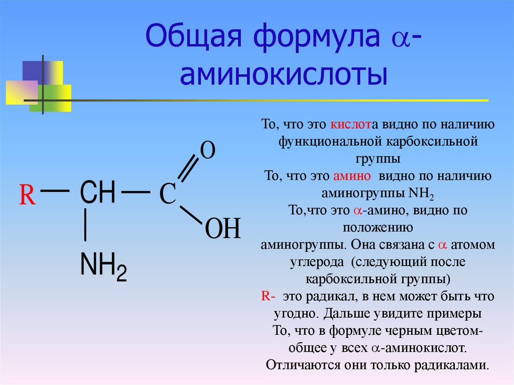 Информация аминокислоты