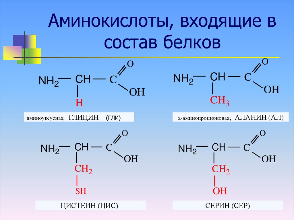 Входящие в состав белков