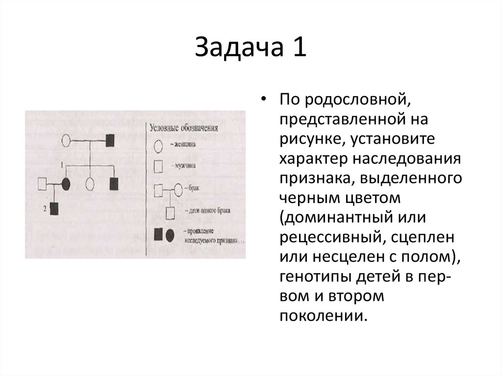 По родословной представленной на рисунке установите характер наследования признака