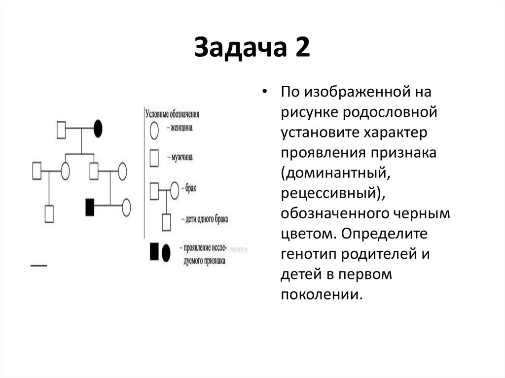 По родословной представленной на рисунке установите характер наследования признака выделенного