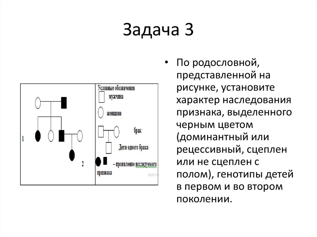 По изображенной на рисунке родословной установите характер наследования признака выделенного черным