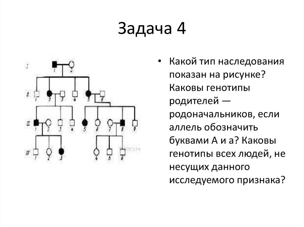 По изображенной на рисунке родословной определите и объясните характер наследования признака 34811