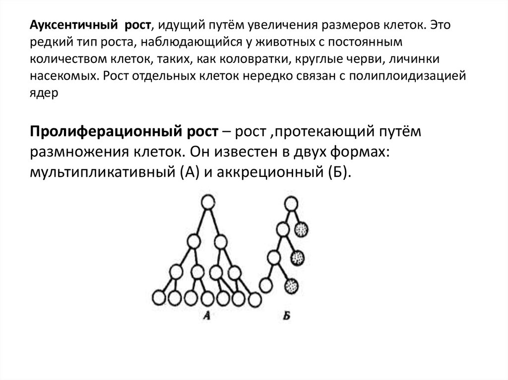 Клеточный рост характерен для