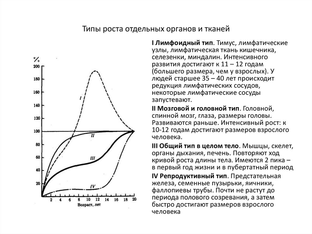 Типы роста