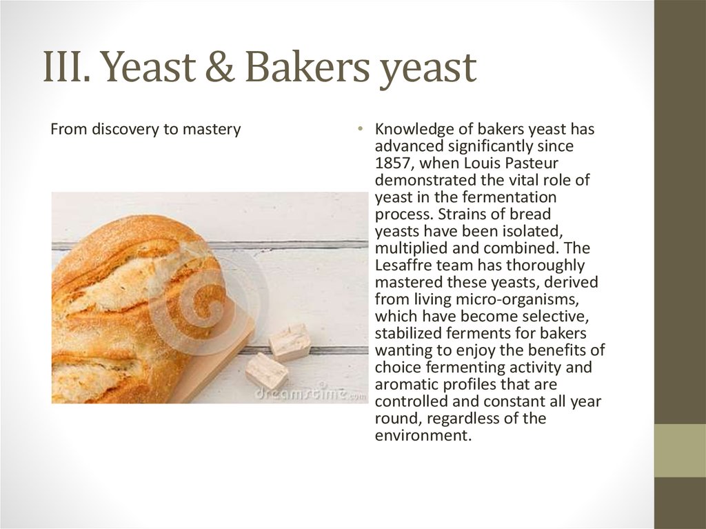 Bread and baker's yeast online presentation