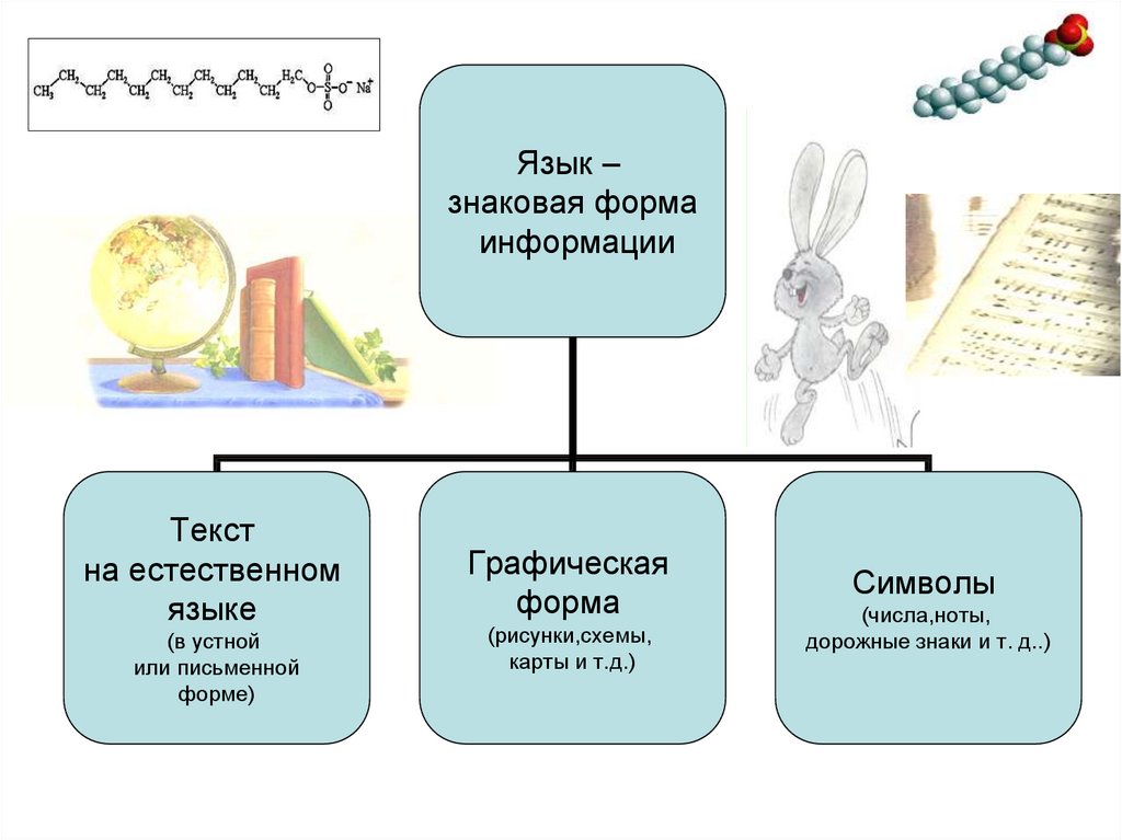 Рисунки схемы карты фотографии тд это