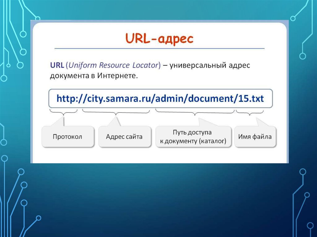 Адрес сайта в файле. URL адрес. Универсальный указатель ресурса. Протокол URL. Адрес сайта пример.