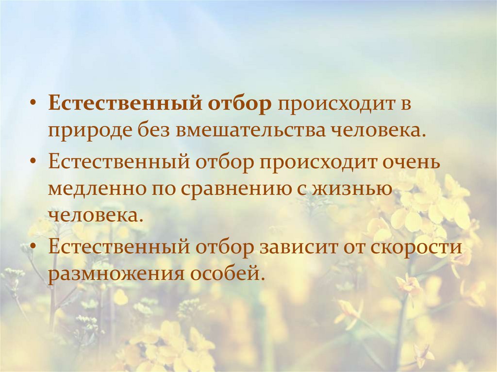 Направляющий естественный отбор