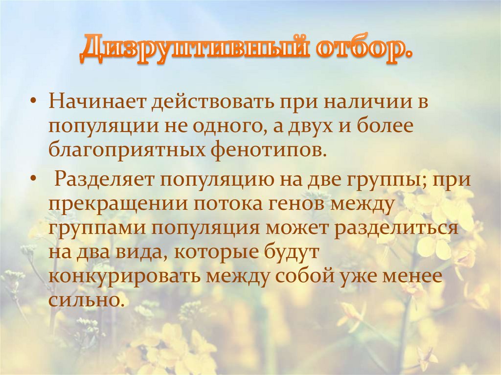 Естественный отбор направляющий фактор эволюции презентация 11 класс