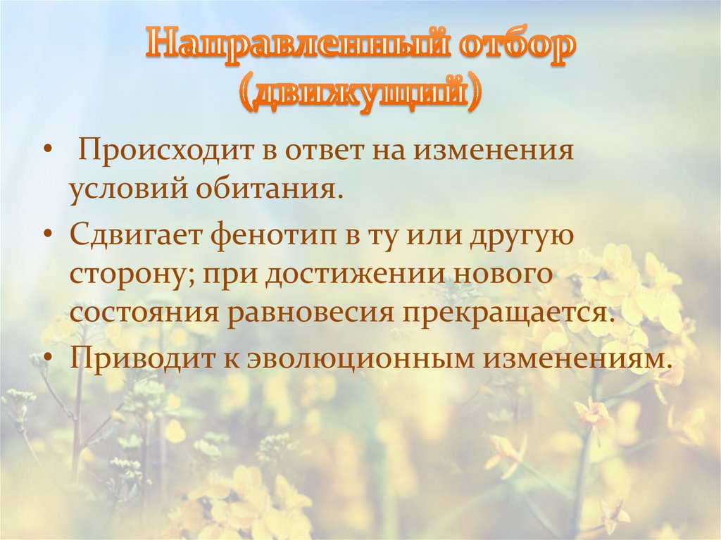 Направляющий фактор эволюции. Вмешательство человека на естественный отбор. Условия обитания розы. Направленный фактор изменения.