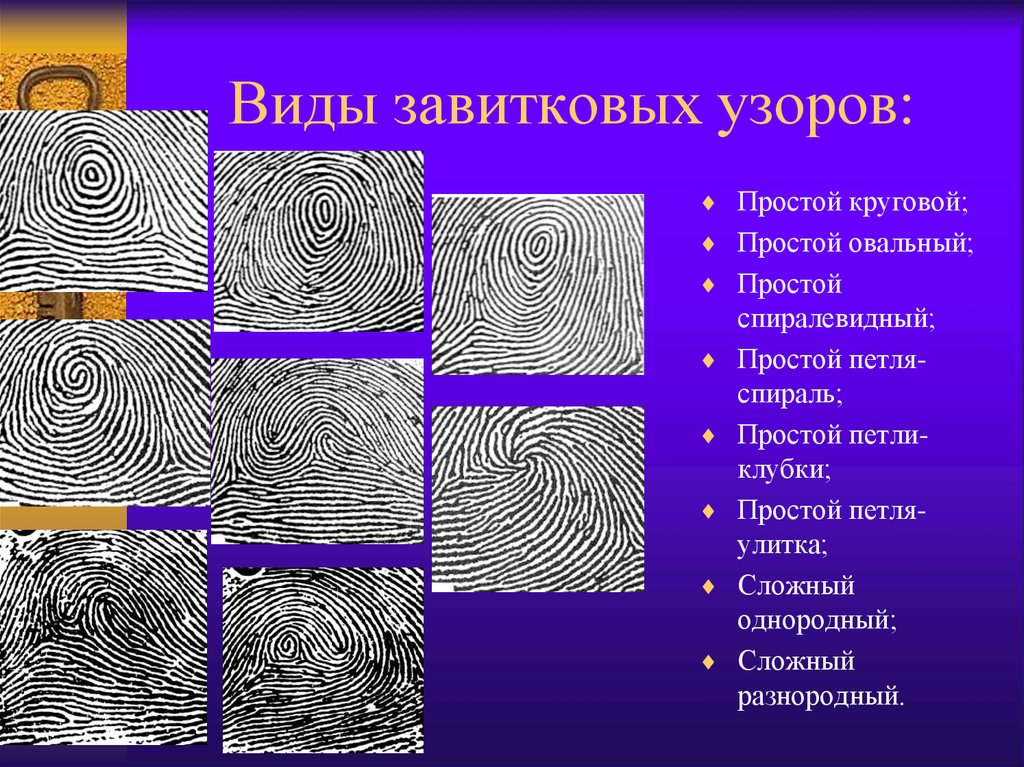 Типы и виды узоров. Петлевой Тип папиллярных узоров простой. Дактилоскопия типы петлевых узоров. Типы завитковых папиллярных узоров. Завитковые узоры дактилоскопия.