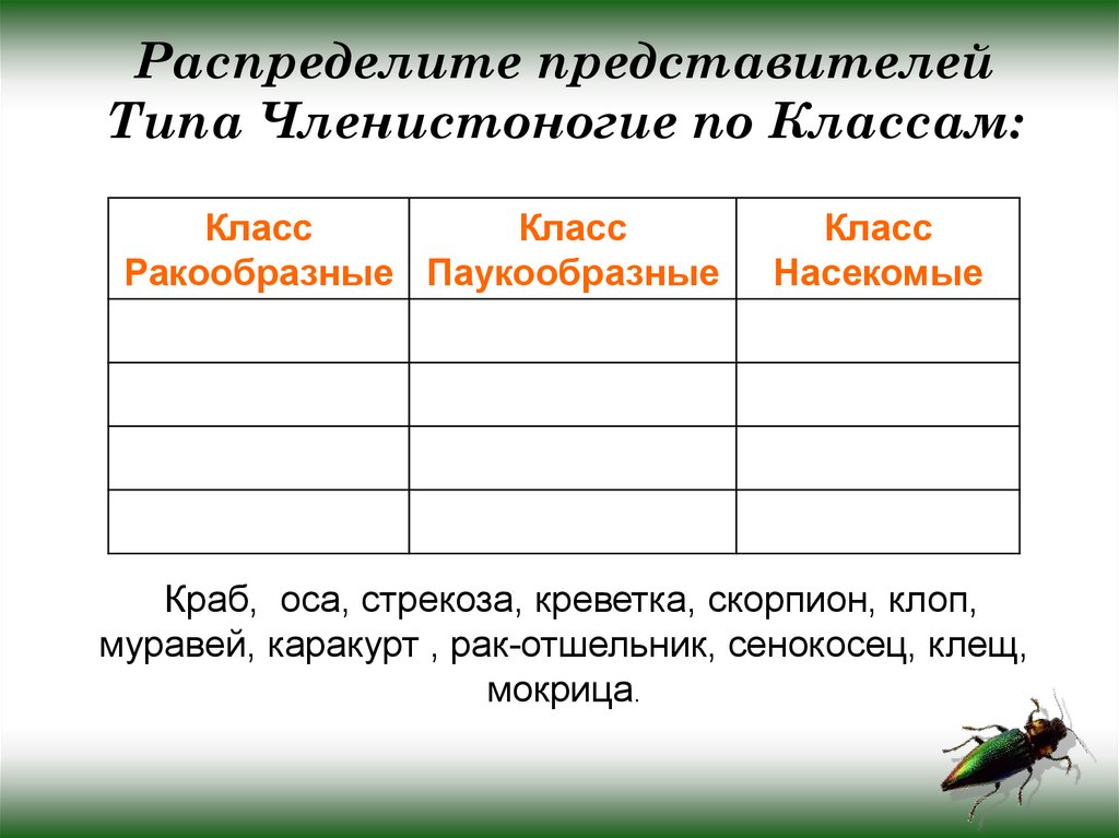 Распределите представителей