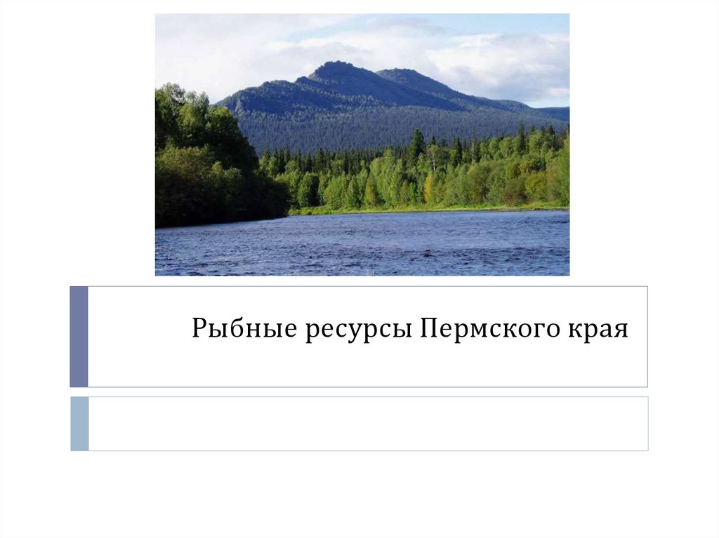 Пермские ресурсы. Богатства Пермского края. Водные богатства нашего Пермского края. Водные ресурсы Пермского края презентация. Природные ресурсы Пермского края.