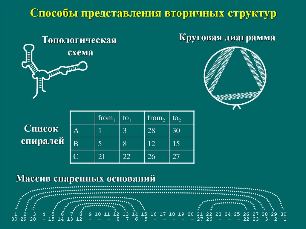 Способ представления 3. Топологическая структура. Структурно-топологические представления. Топологические представления это. Топологическая классификация.