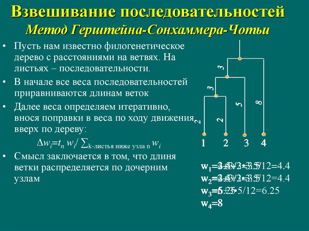 Способы порядок. Метод последовательности. Алгоритмы в биоинформатике. Метод - методология - методика последовательного. Последовательность взвешивания.