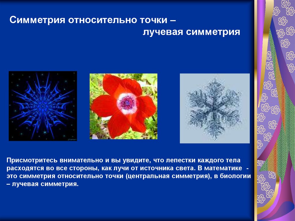 Что такое лучевая симметрия. Лучевая симметрия. Лучевая и радиальная симметрия. Лучевая симметрия это симметрия. Лучевая симметрия в природе.