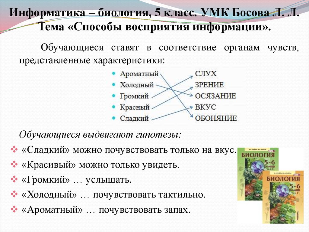 Биология и информатика. Восприятие информации в информатике. Способы восприятия Информатика. Способ восприятия информации в информатике 5 класс.