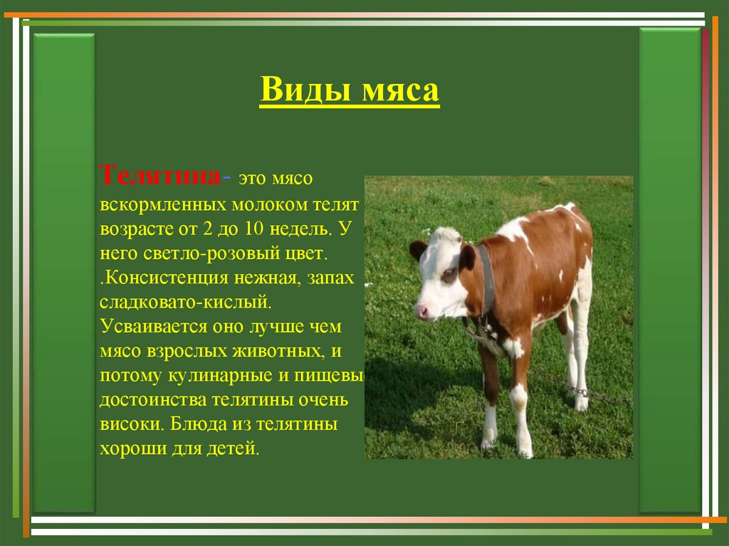 Возраст мяса. Телятина виды мяса. Телятина до какого возраста. Телятина на вид.