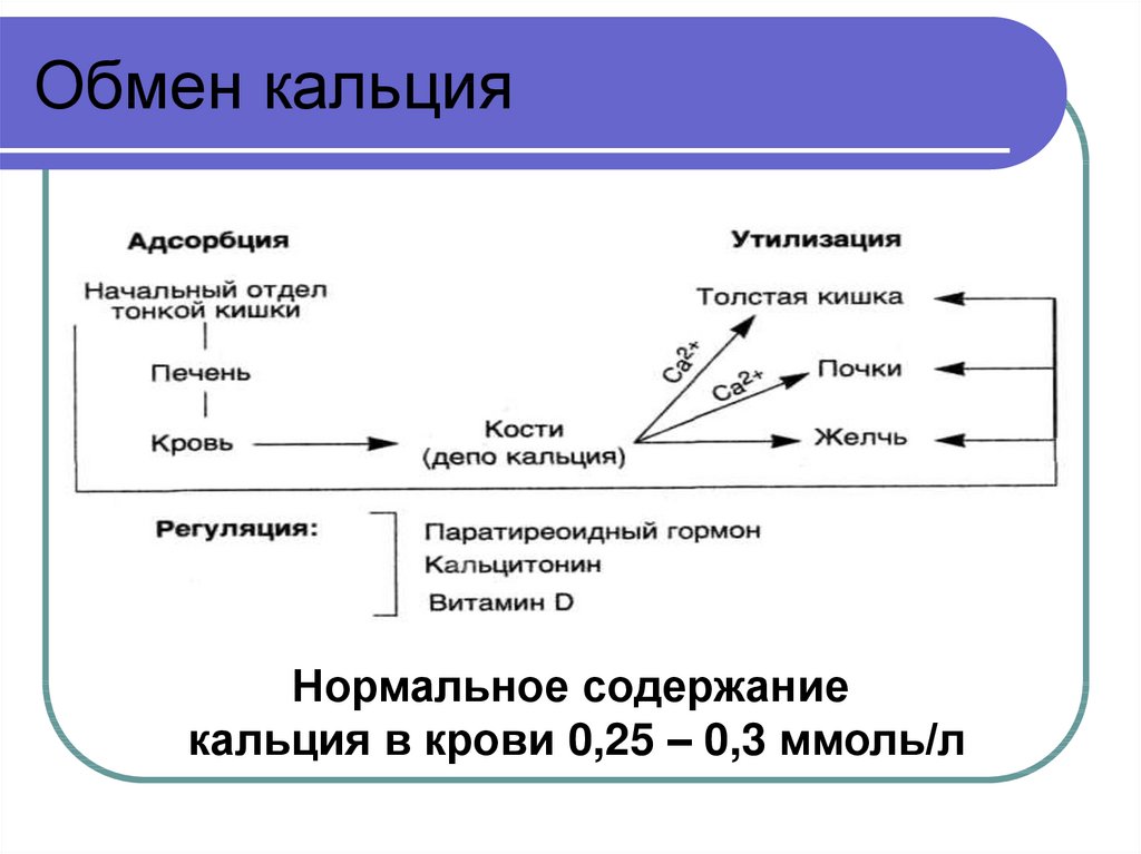 Кальций биохимия презентация