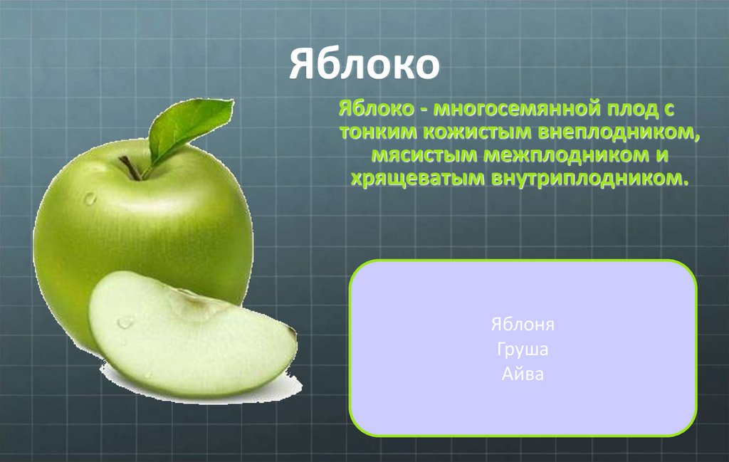 Презентация на тему apple