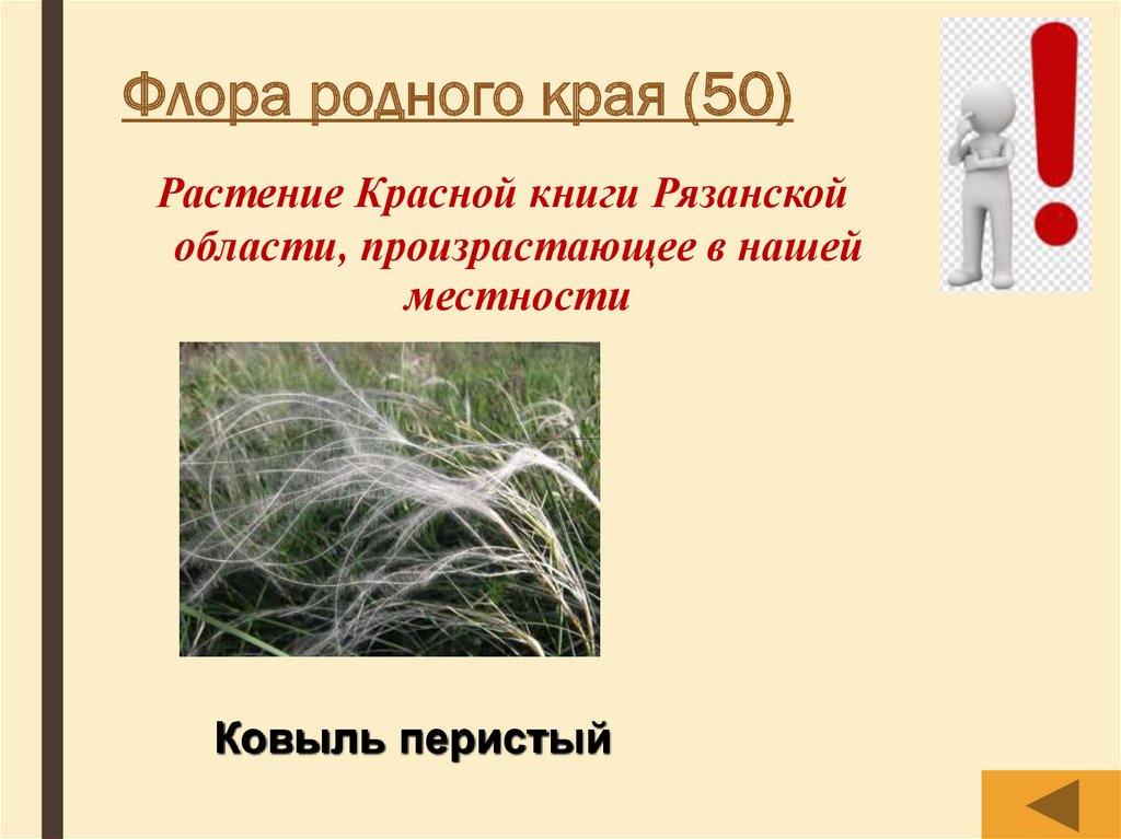 Флора родного края (50)