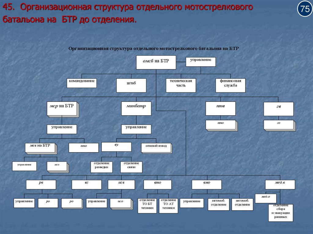 Структура мотострелкового батальона вс рф нового образца