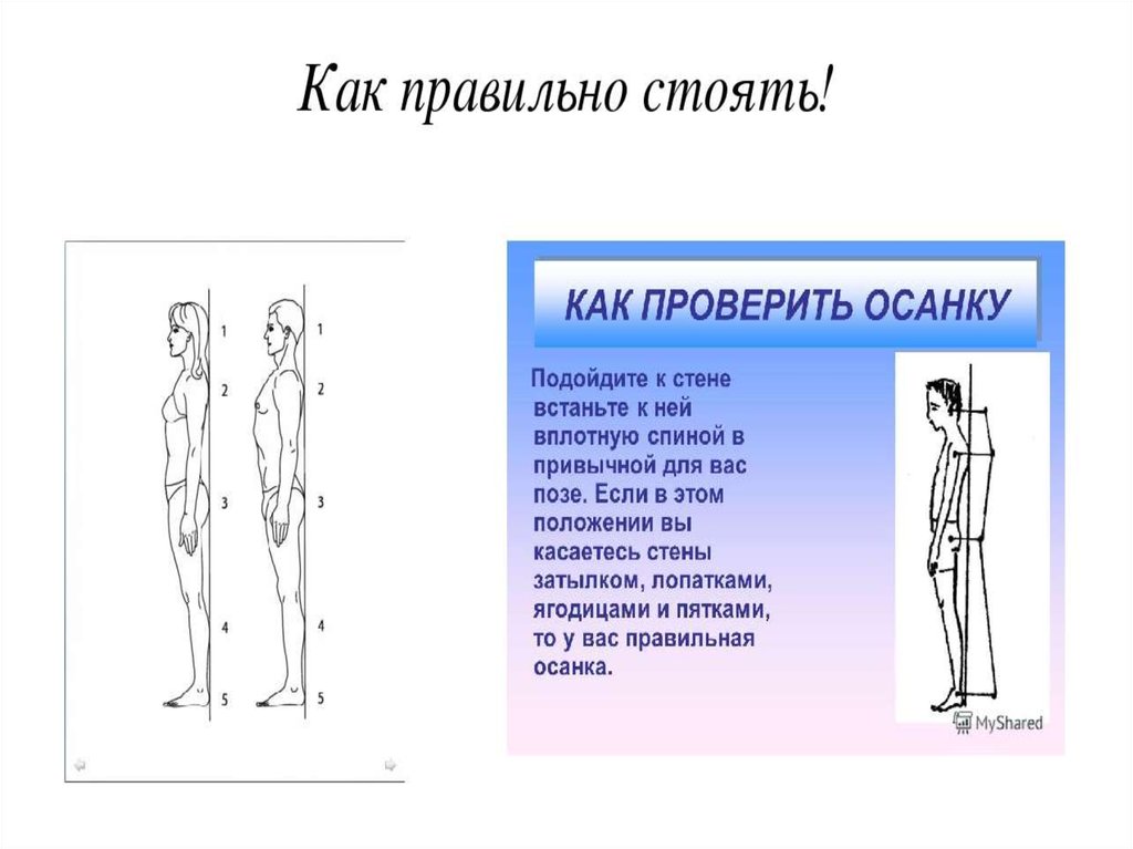 Презентация на тему правильная осанка