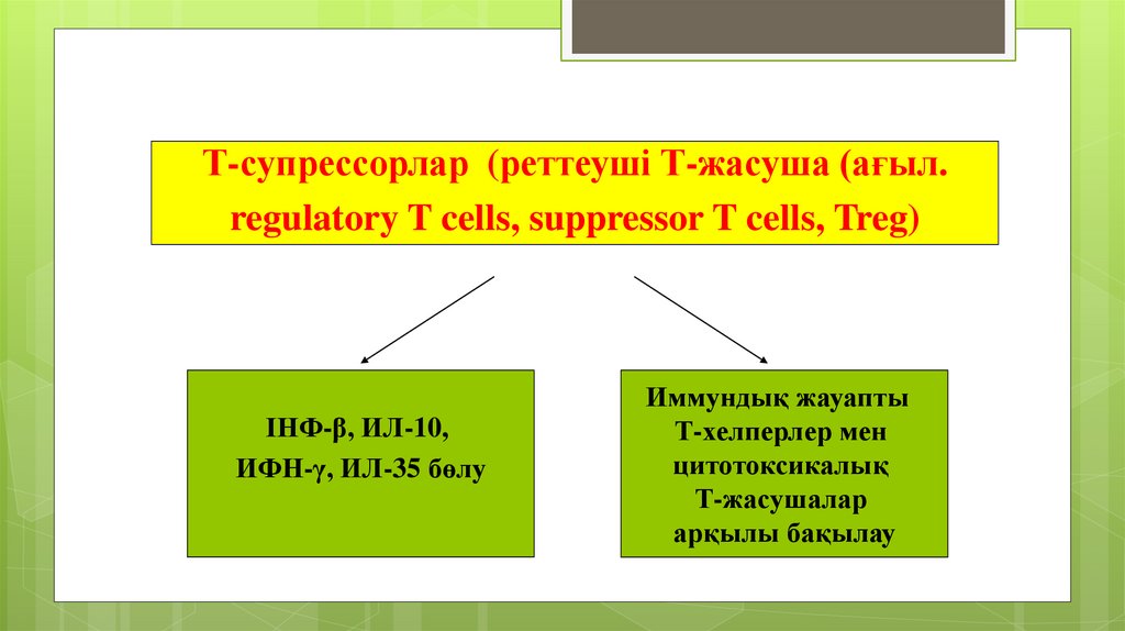 Т-супрессорлар (реттеуші Т-жасуша (ағыл. regulatory T cells, suppressor T cells, Treg)