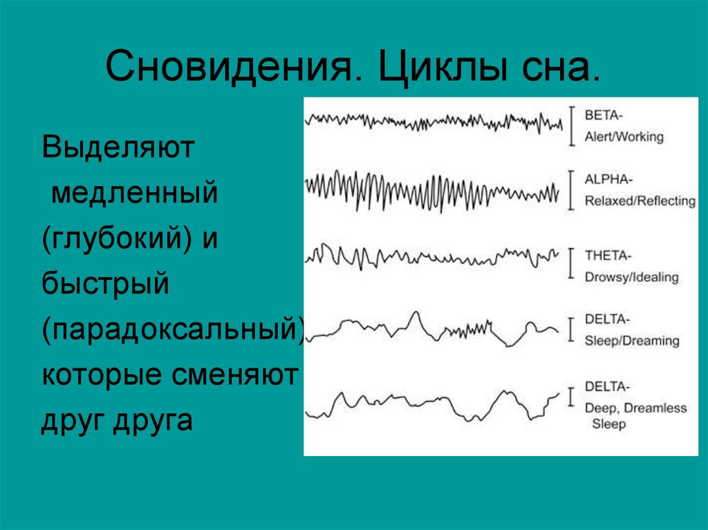 Фаза сна текст