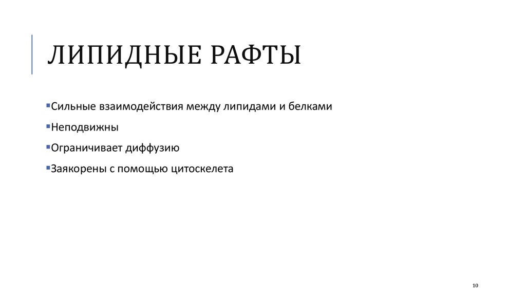 Липидные рафты