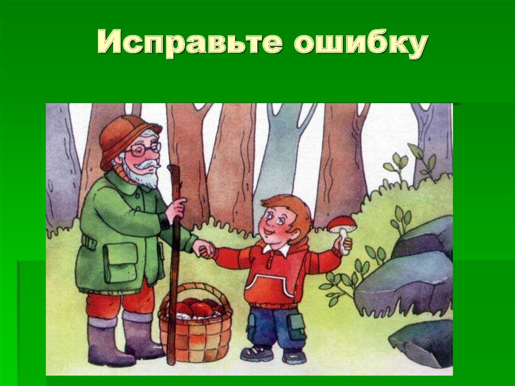 Игра исправь ошибку. Безопасность в лесу грибы. Дедушка грибник. Грибники в лесу рисунок. Грибник рисунок.