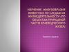 Изучение многообразия животных по следам их жизнедеятельности (по объектам природной части краеведческого музея)