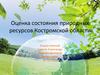 Оценка состояния природных ресурсов Костромской области