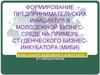 Формирование предпринимательских инициатив в молодежной бизнес-среде на примере студенческого бизнес-инкубатора (МИБИ)