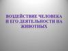 Воздействие человека и его деятельность на животный мир