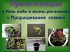 Роль воды в жизни растений.  Проращивание семян