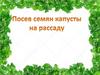 Посев семян капусты на рассаду