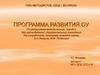 Программа развития ОУ