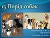 15 порід собак