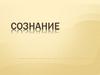 Сознание. Сознательная активность человека