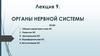 Гистология. Нервная система. Лекция 9