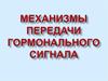 Механизмы передачи гормонального сигнала