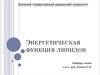 Энергетическая функция липидов