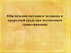 Обеспечение питанием человека в природной среде при автономном существовании