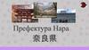 Префектура города Нара