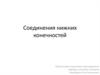 Соединения нижних конечностей
